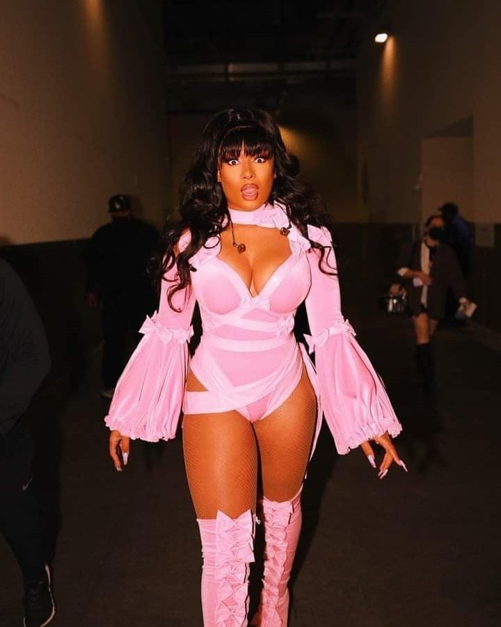 Megan thee stallion is outfit in during the concert together all members ot7